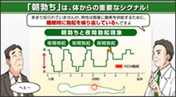 動画でわかるED治療　EDとは？