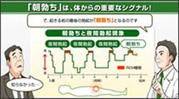 動画でわかるED治療　EDとは？