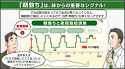 動画でわかるED治療　EDとは？