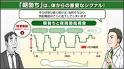 動画でわかるED治療　EDとは？