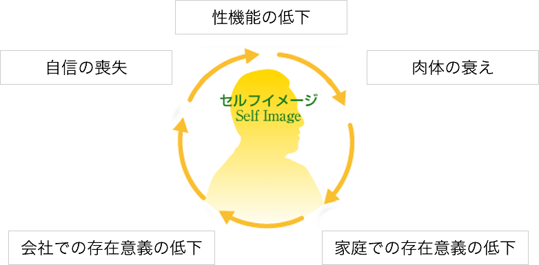 EDは、性機能の低下だけでなく、自分に対するイメージの低下につながる